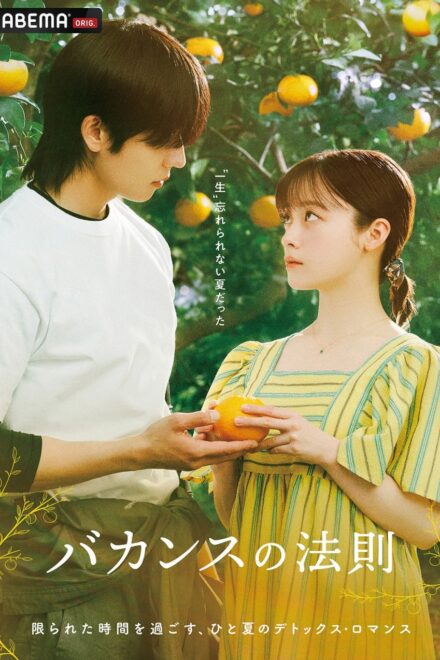 Poster for The Vacation Principle (2026)